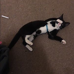 Meet your Posher, Nick